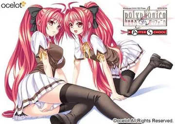 神曲奏界ポリフォニカ アフタースクール パーフェクトエディション 封面
