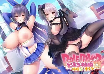 ROLEPLAYER：山掛姐妹的黏膜游戏！ 封面