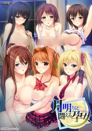 月明りに悶える孕女 封面