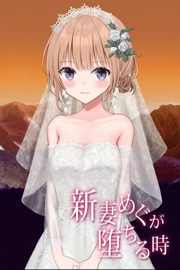 新婚妻子小惠的堕落 封面