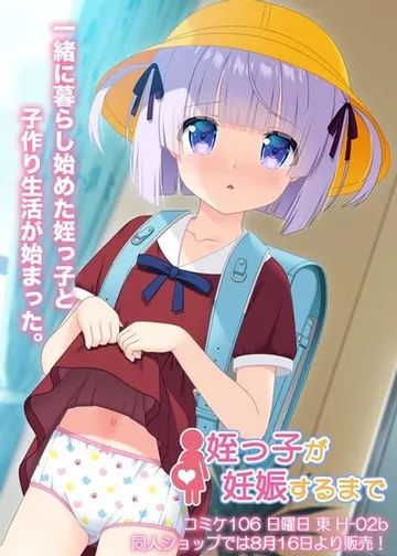 姪っ子が妊娠するまで 封面