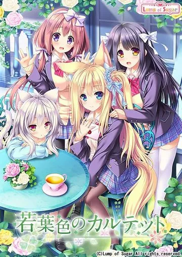 若葉色のカルテット 封面