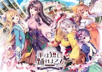 韶华苦短，起舞吧少女 封面