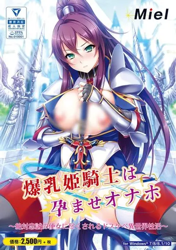 在孕爆乳姬骑士飞机杯 封面