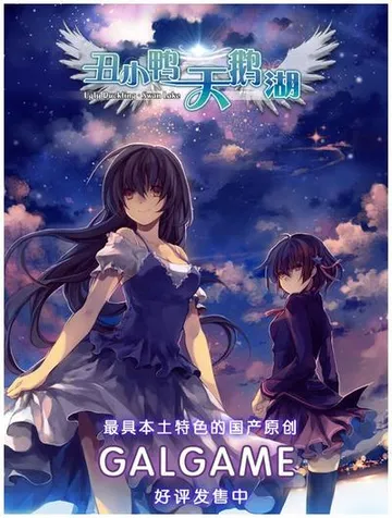 丑小鸭的天鹅湖 封面