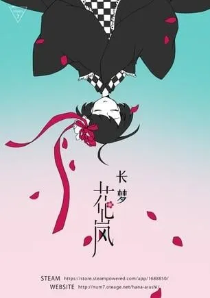 长梦花岚 封面