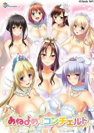 あねよめコンチェルト 封面