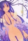 days innocent 封面