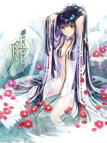顔のない月-待宵の双椿- 封面