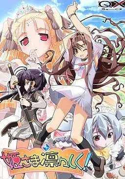 姫さま凛々しく! 封面