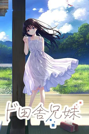 痴情哥哥与病弱妹妹的乡间生活 封面