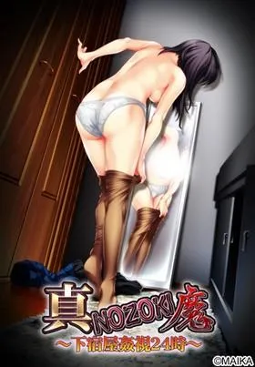 真・NOZOKI魔~下宿屋姦視24時~ 封面