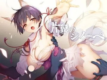 片翼のシノーペ 封面