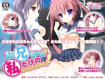 お兄ちゃんは私だけのものなんだからっ!! 封面