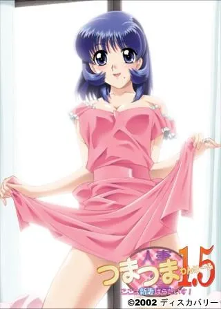 人妻叉人妻1.5 封面