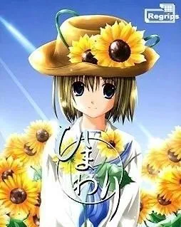 ひまわり 封面