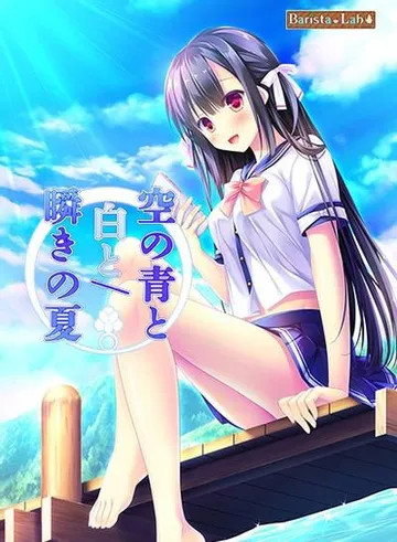 天空的蓝与白/如梭夏日 封面