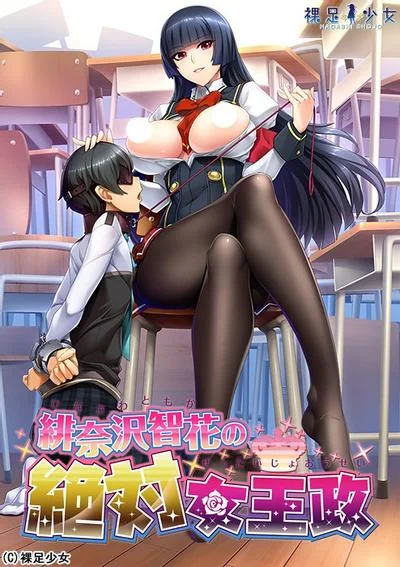 緋奈沢智花の絶対女王政 封面