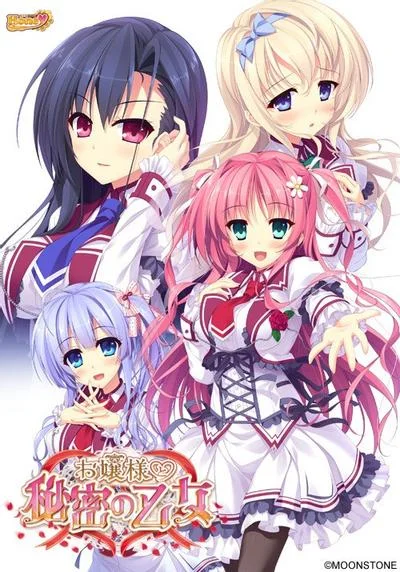 お嬢様と秘密の乙女 封面