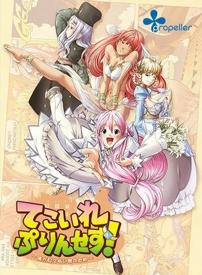てこいれぷりんせす! ~僕が見えない君のため~ 封面