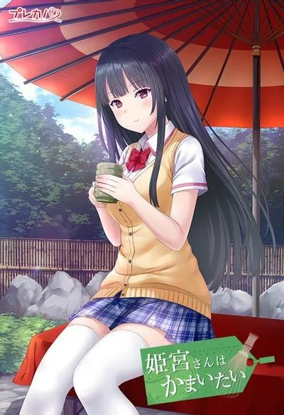 姫宮さんはかまいたい 封面