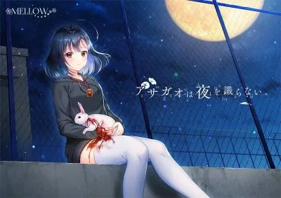 アサガオは夜(アイ)を識らない。 封面