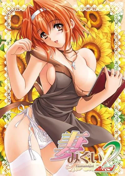 妻中蜜2 封面