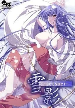 雪影 封面