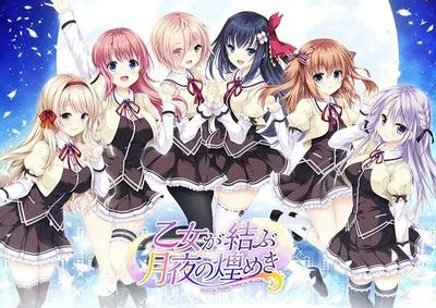 乙女が結ぶ月夜の煌めき 封面