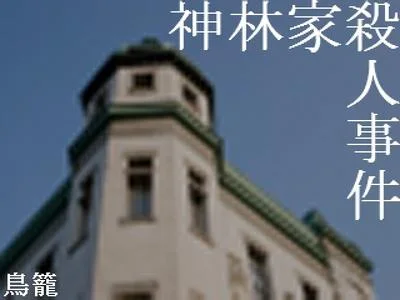 神林家杀人事件 封面