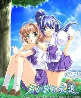 你所期望的永远 封面