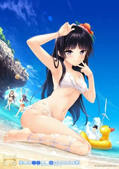 在这苍穹展翅 Gift Edition Kotori 封面