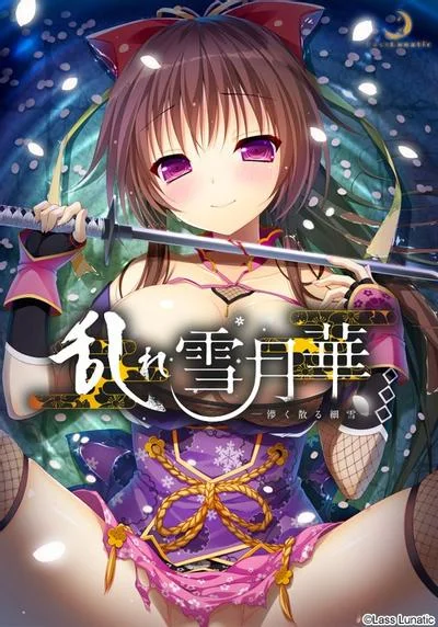 乱雪月华~虚幻飘散的细雪~ 封面