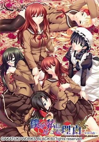 ボクがワタシになった理由~女装計画~ 封面