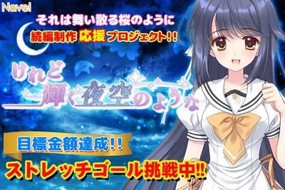 けれど輝く夜空のような 封面