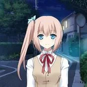 夜之森 封面