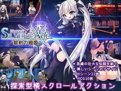 銀剣の戦姫 封面
